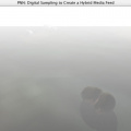 app birdseye fog